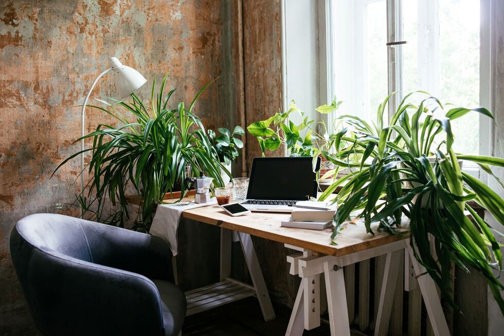 A smart desk surrounded by plants